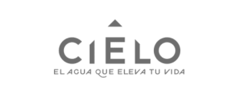 logo-gris-cielo